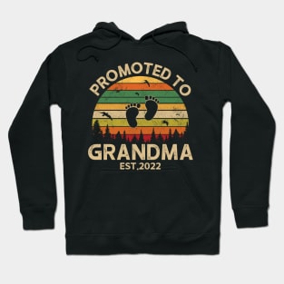 Promoted To Grandma Est 2022 Pregnancy Announcement Vintage Hoodie